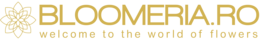 logo Bloomeria