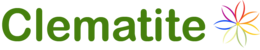 Clematite CodReducere.Online