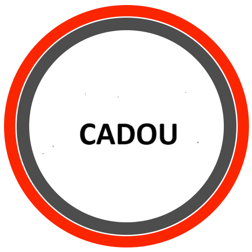 Libris Carte Cadou la cumparaturi de minim 100 lei