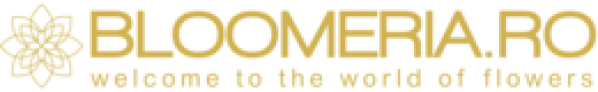 Livrare Gratuita Bloomeria in doar 3 ore in Bucuresti